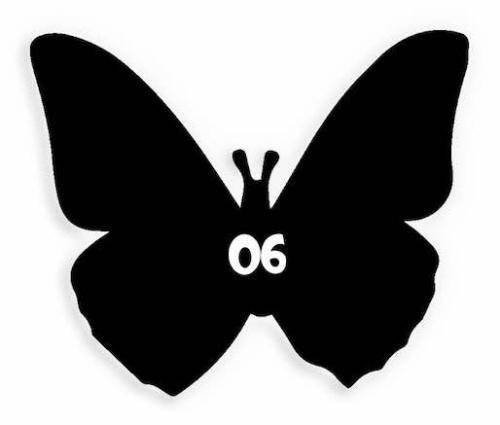 6 Butterfly