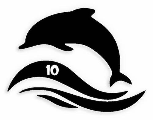 10 Dolphin Wave