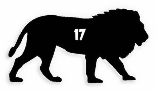 17 Lion