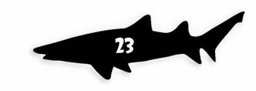 23 Shark