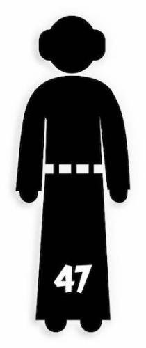 47 Princess Leia