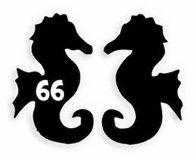 66 Seahorses