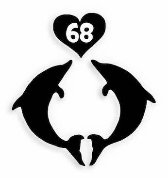 68 Dolphins heart