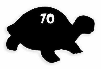 70 Turtle