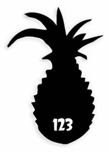 123 Pineapple