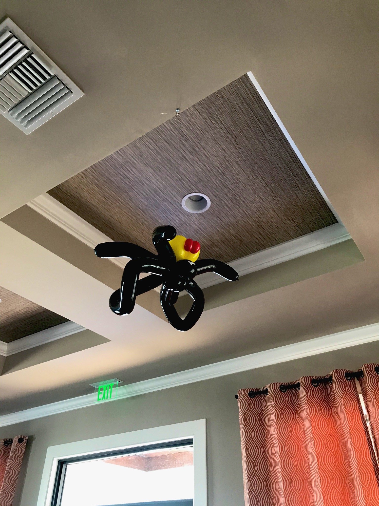 Balloon ceiling installation